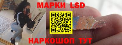 стафф Новодвинск